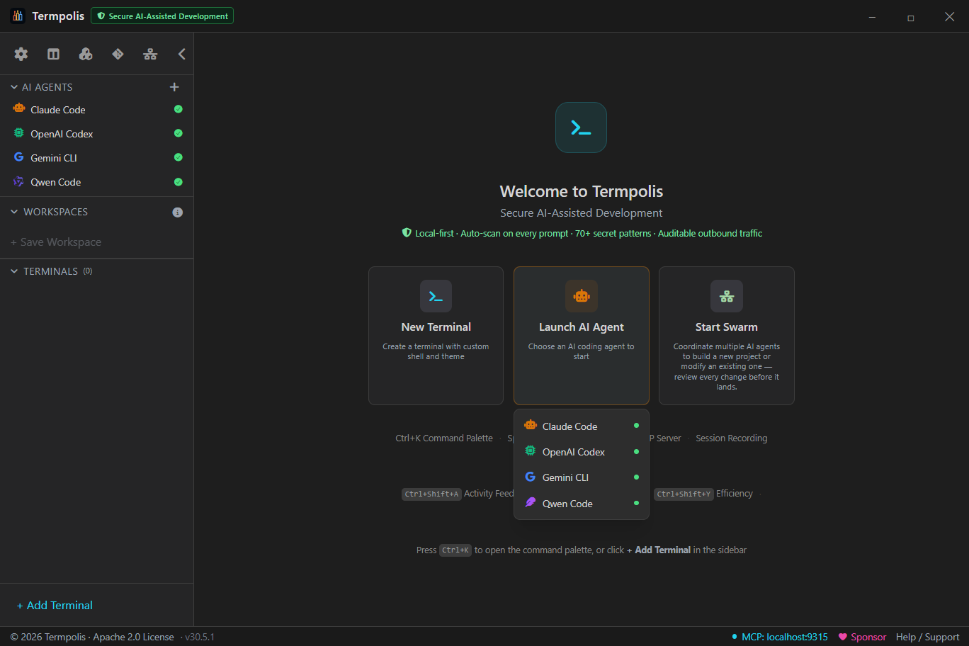 Termpolis workspaces info modal.